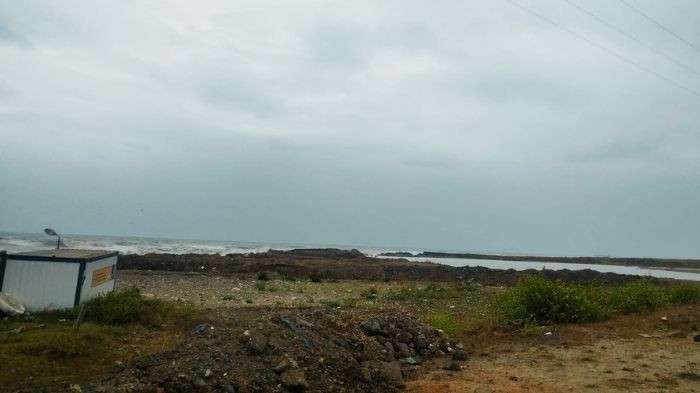 Ağaçlı sahilinde kara bitti denize doğru devam.