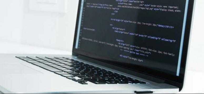 Beşiktaş Web Sitesi Tercüme